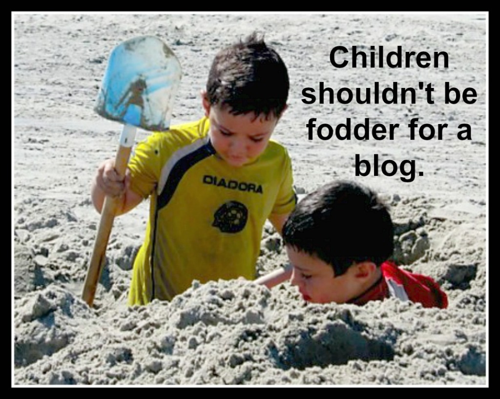 Won't Write that: Children Should Not Be Fodder for a blog