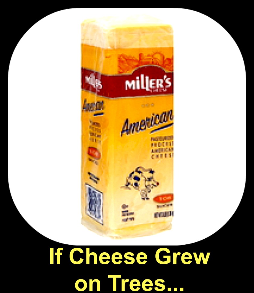 Miller's American Cheese does not grew on trees